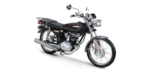 KUBA ÇİTA 50RX - Görsel 2